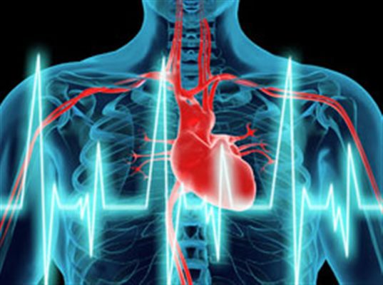 Maladies cardiovasculaires : des réponses à vos questions