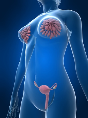 gynécologie médicale gynécologie médicale