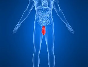 douleur testiculaire droit