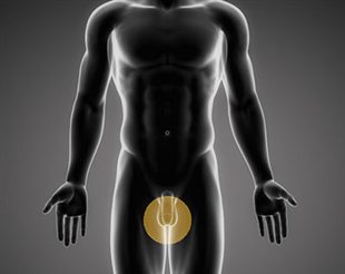 symptome du cancer des testicules