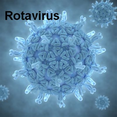 Gastro-entérite à rotavirus