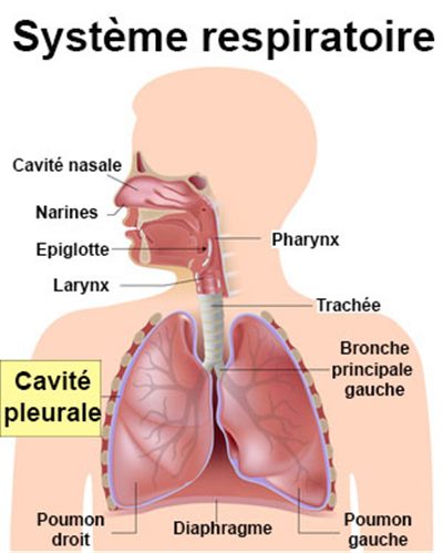 Ponction pleurale