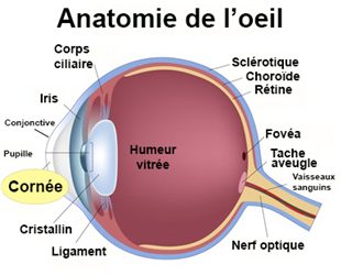 comment traiter une keratite