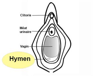 comment savoir si j hymen intact