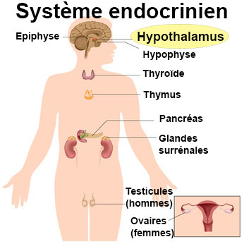 Les aspects des boutons purulents sur la personne