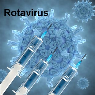vaccination rotavirus