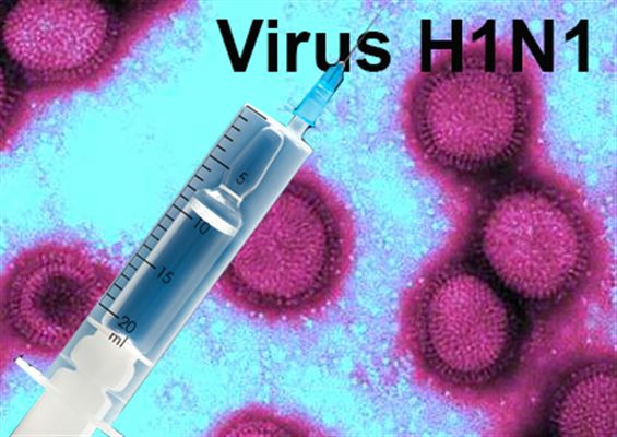 Recommandations de l'OMS sur la vaccination contre la grippe H1N1
