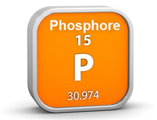 Phosphorémie