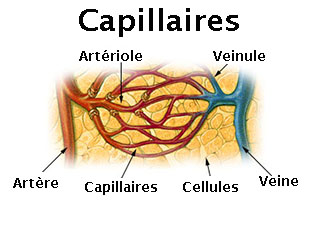 Capillaroscopie