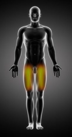 Douleur des jambes : symptômes, traitement, définition ...