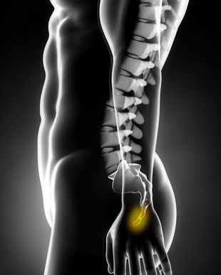 Bouée médicale coccyx Clearance