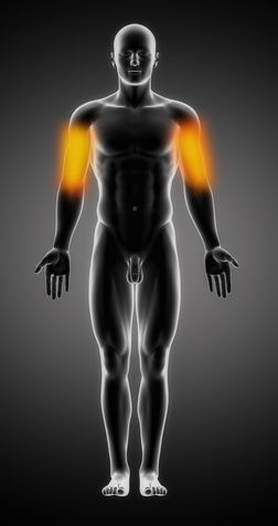 Douleur du bras : symptômes, traitement, définition - docteurclic.com