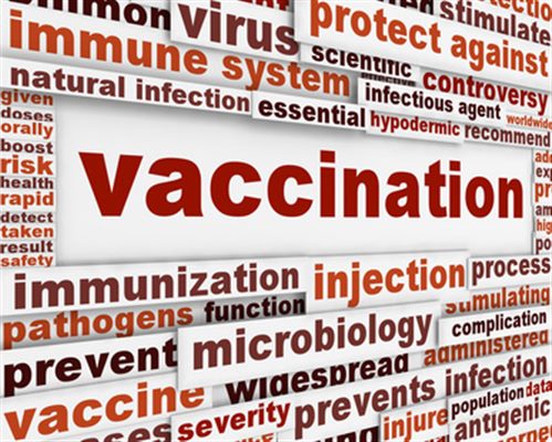 Calendrier des vaccinations  (adultes)