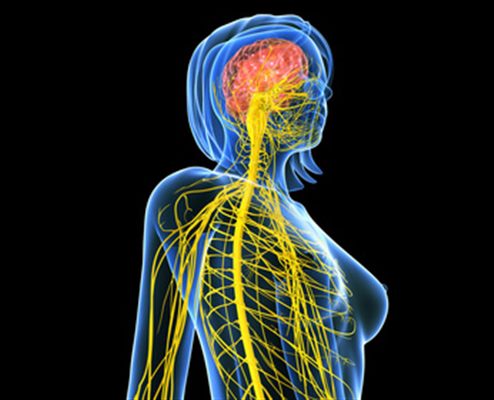 Maladies neurologiques