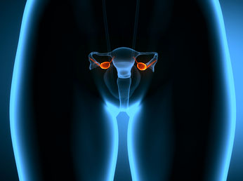 Maladies de l'ovaire : définition - docteurclic.com