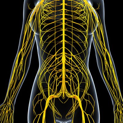 Névralgie : symptômes, traitement, définition - docteurclic.com