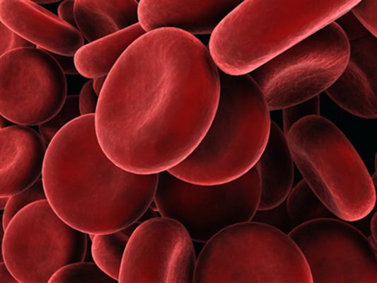 Globules Rouges D finition Docteurclic Globules Rouges D finition Docteurclic