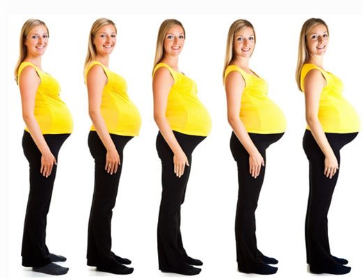 Prise de poids au cours de la grossesse