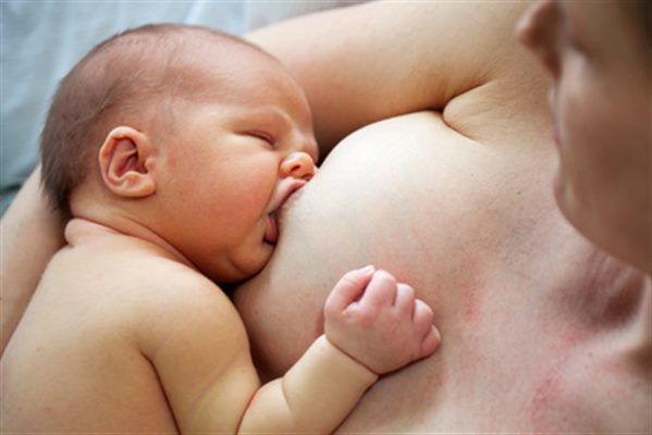 Lactation : définition 