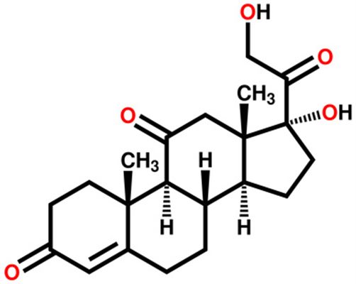 Corticoides En Urgence Definition Docteurclic Com