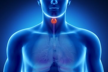 thyroïde