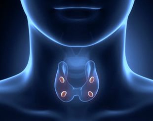 parathyroïde
