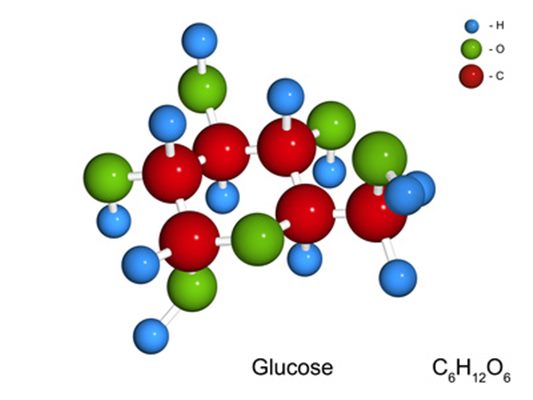 Glucose