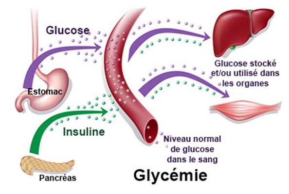 Surveillance glycémique : témoignage de patient