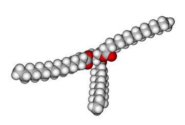 molécule de triglycérides