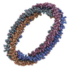molécule d'apolipoprotéine