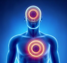 attaque: avc ou infarctus