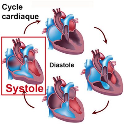 Revolution cardiaque definition