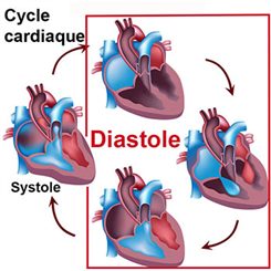 diastole