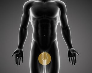 douleur aux testicules