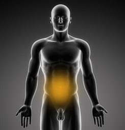 Douleur abdominale : généralités : symptômes, traitement ...