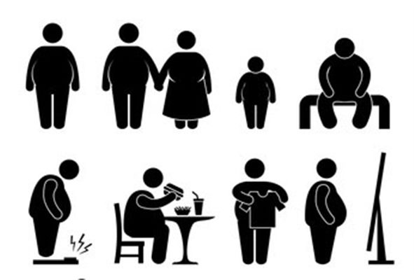 Obésité : voies de recherches et nouvelles stratégies