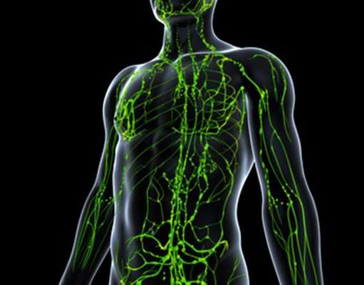 Sarcoïdose : symptômes, traitement, définition - docteurclic.com