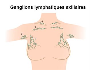 ganglions lymphatiques axillaires