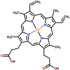 heme b