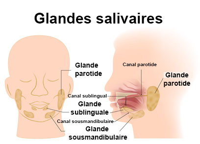 glande salivare blocate