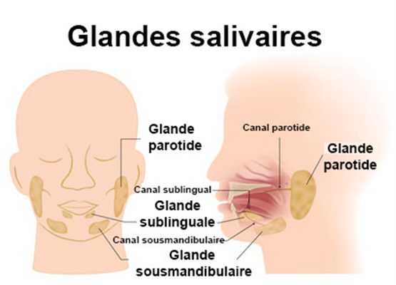 glande salivare blocate)