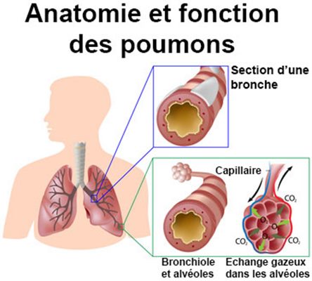 Problèmes respiratoires