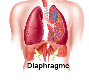 Mal au diaphragme : symptômes, traitement, définition ...