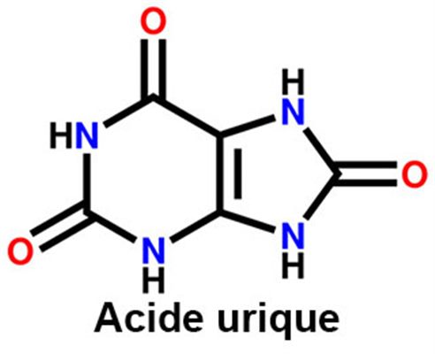 Uricémie