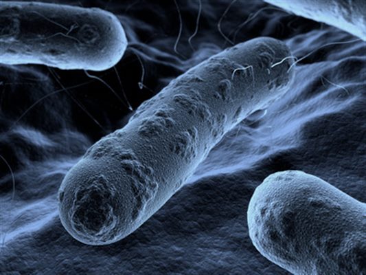 Examen cytobactériologique des urines