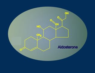 aldostérone