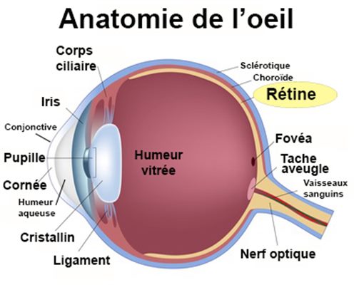 Hémorragie rétinienne de haute altitude (HRHA)