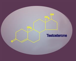 testostérone
