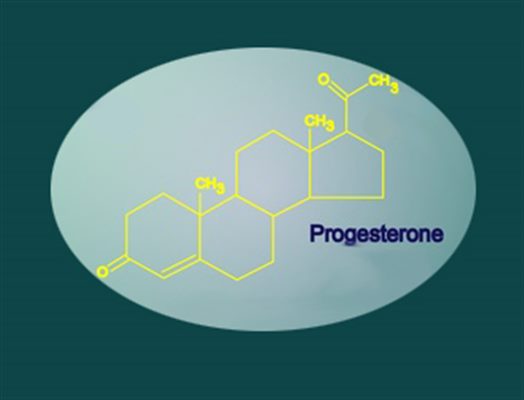 Progestérone plasmatique