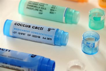 coccus cacti